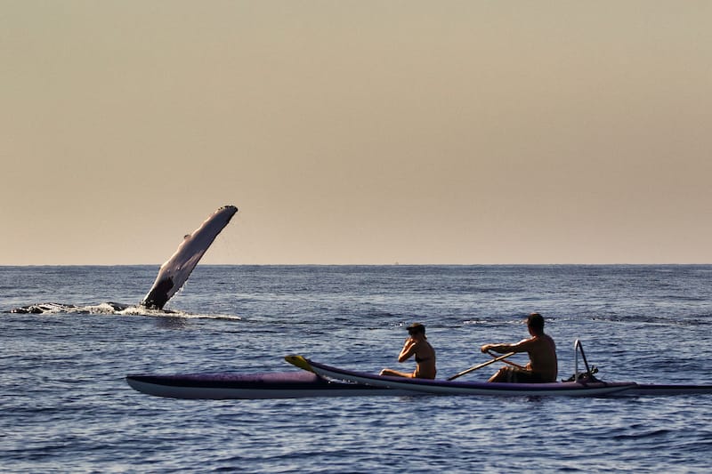 Kayaking in Maui