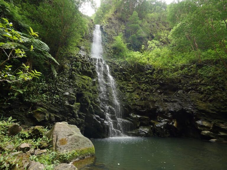 14 Best Oahu Waterfalls You Shouldn't Miss (+ How to Visit)