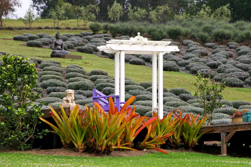 Kula Lavender Farm