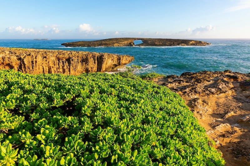 Laie Point