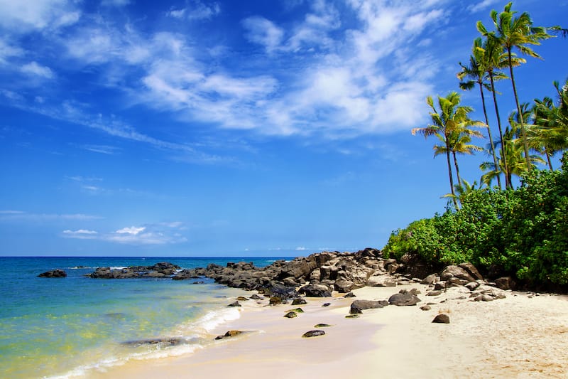 Laniakea Beach - Best beaches on the North Shore