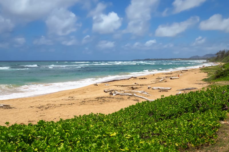 Lydgate Beach