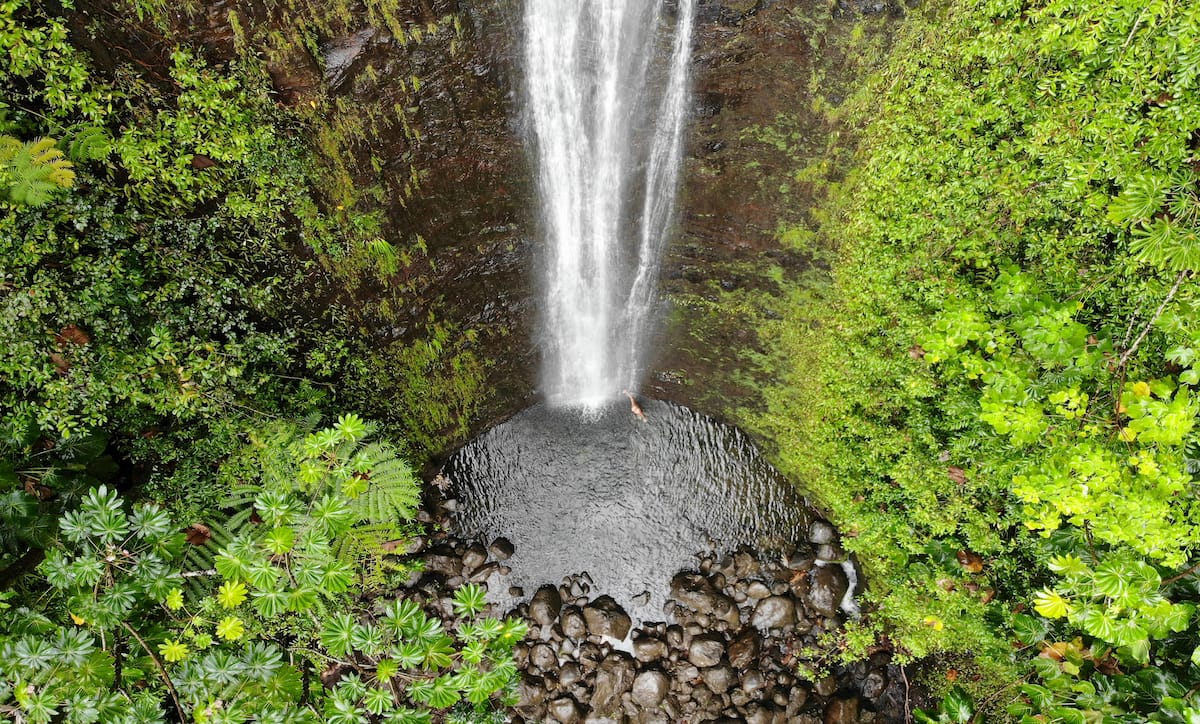 Manoa Falls