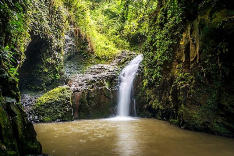 14 Best Places for Cliff Jumping in Hawaii (Island by Island!)
