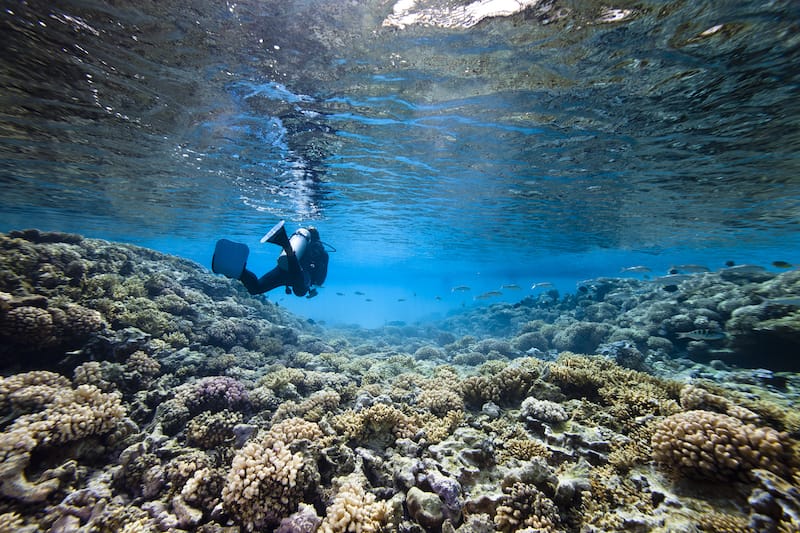 Oahu diving sites