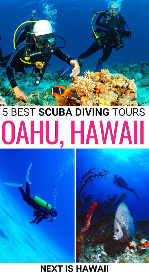 Looking for the best Oahu scuba diving tours for your Hawaii trip? This guide details the best places for scuba diving in Oahu and who will take you there! | Scuba diving Oahu | Oahu scuba tours | PADI in Oahu | Scuba diving in Honolulu | Scuba diving Hawaii | Hawaii scuba diving | Hawaii scuba diving tours | Honolulu scuba diving tours | Waikiki scuba diving tours | Where to scuba dive in Oahu | North Shore Hawaii scuba diving