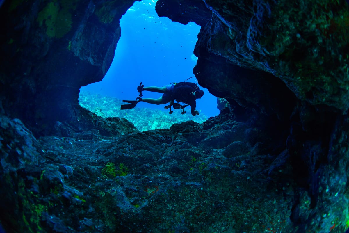 Scuba diving in Oahu