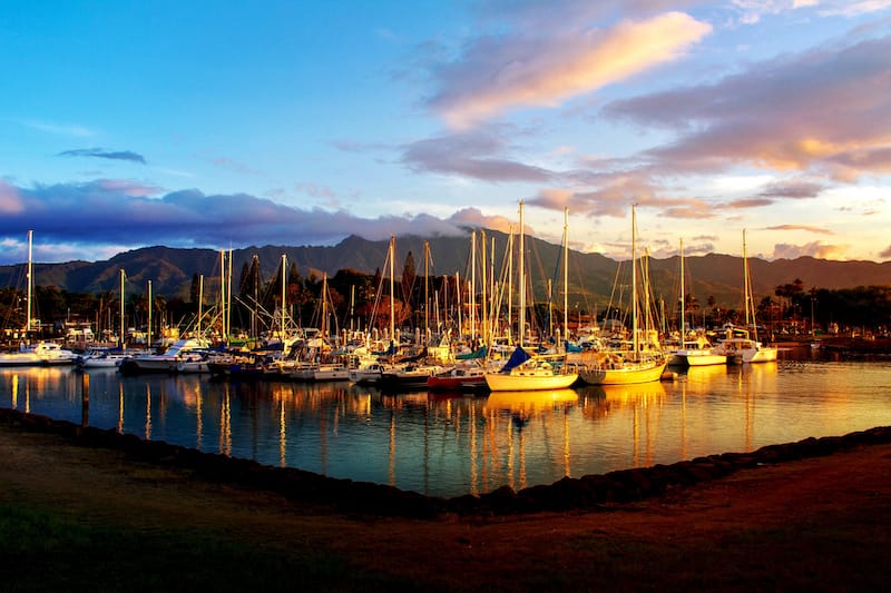 Haleiwa Harbor is where most tours depart from