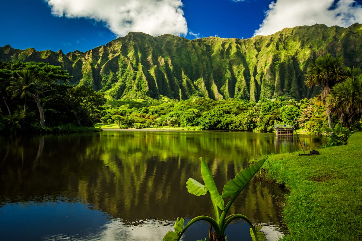 Ho’omaluhia Botanical Garden