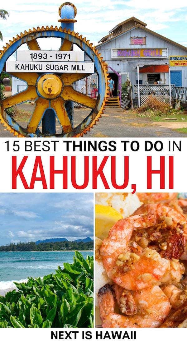 Traveling to the North Shore and looking for the best things to do in Kahuku? Home to Turtle Bay Resort, you'll find so much to do in Kahuku (including FOOD)! | Kahuku things to do | Kahuku attractions | Kahuku landmarks | Places to visit in Kahuku | Kahuku sightseeing | Kahuku day trip | What to do in Kahuku | Things to do at Turtle Bay Resort | Best food in Kahuku | Kahuku restaurants | Kahuku cafes | Kahuku beaches 