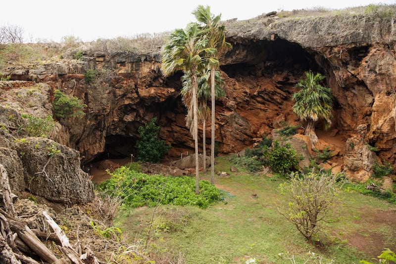 Makauwahi Cave - Best things to do in Poipu 