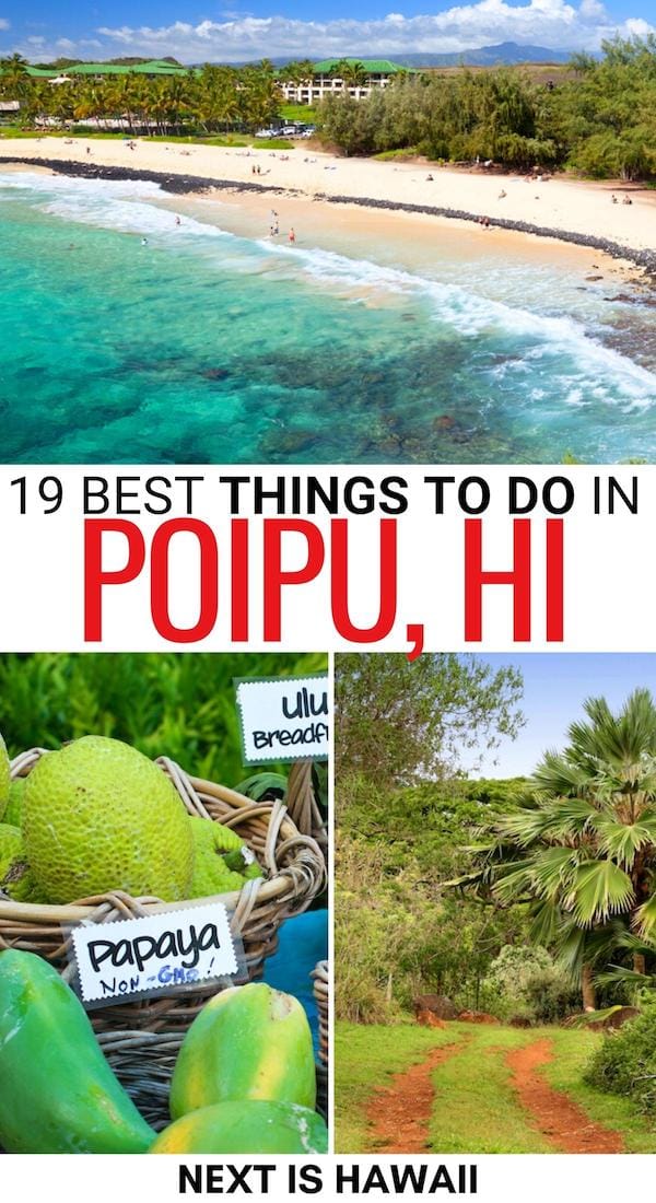Are you heading to Kauai's south coast and are looking for the best things to do in Poipu and Koloa town? This guide details the best Poipu attractions and more! | Poipu things to do | What to do in Poipu | Poipu beaches | Poipu restaurants | Poipu coffee | Places to visit in Kauai | Places to visit in Poipu | Things to do in Koloa | Visit Koloa | Poipu snorkeling | Poipu road trips | Poipu itinerary | Visit Poipu
