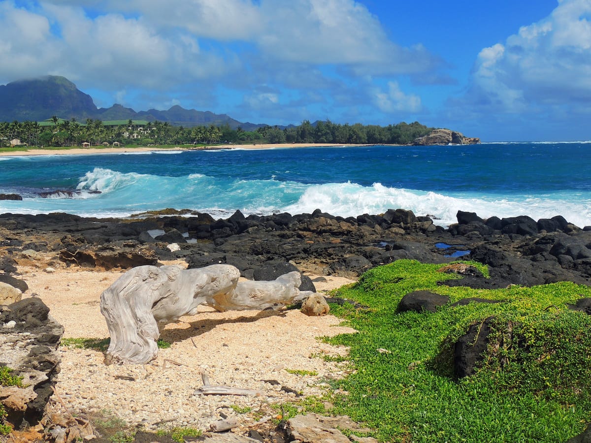 Shipwreck Beach