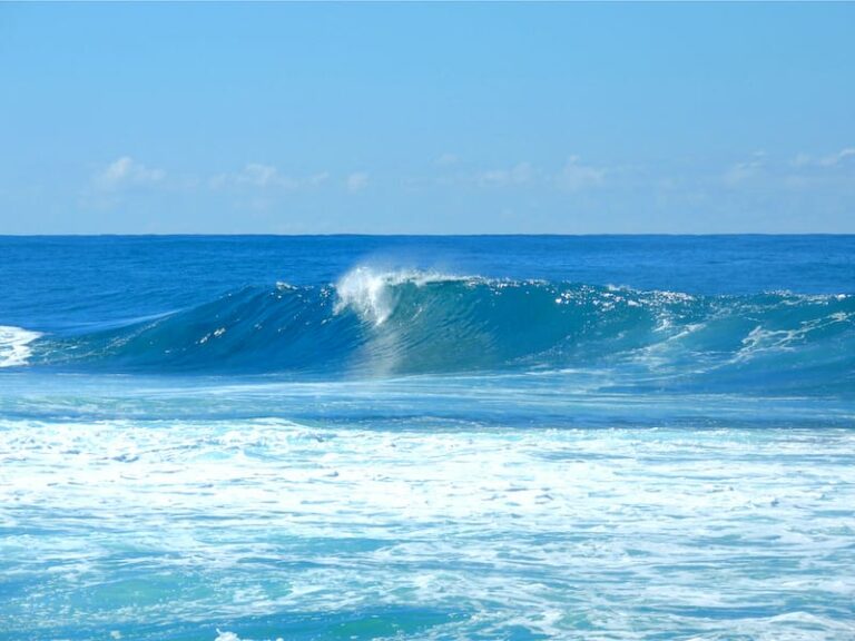 15 Fun (and Delicious!) Things to Do in Kahuku, Oahu