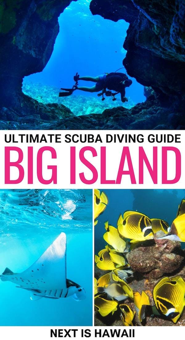 Are you planning a Big Island scuba diving adventure? This guide covers the best courses, tours, and spots for scuba diving on the Big Island of Hawaiʻi! | Big Island diving | Diving on the Big Island | Hawaii scuba diving | Hawaii diving | Scuba diving in Hawaii | Diving in Hawaii | SCUBA courses in Hawaii | Scuba diving in Kona | Scuba diving in Hilo | Hilo scuba diving | Kona scuba diving