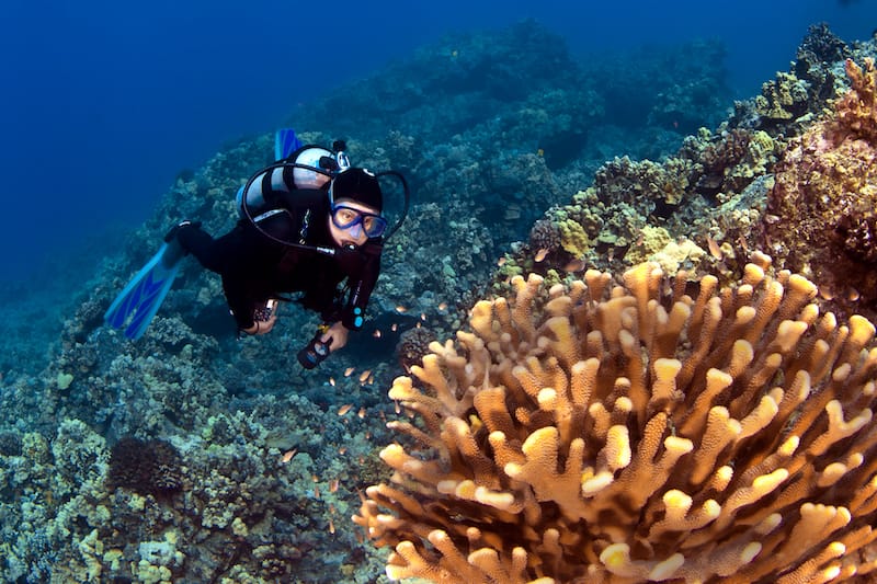 Big Island diving