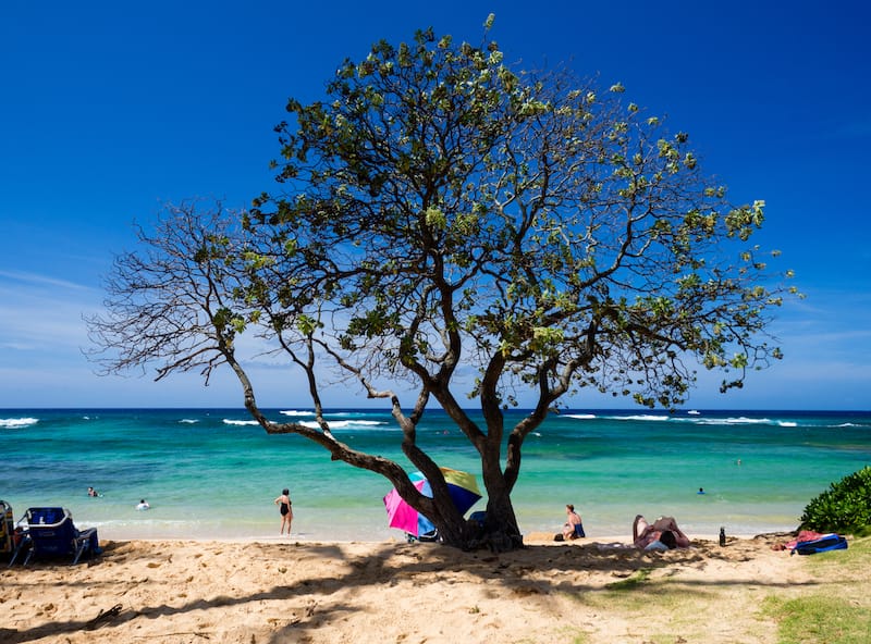 Kiahuna Beach