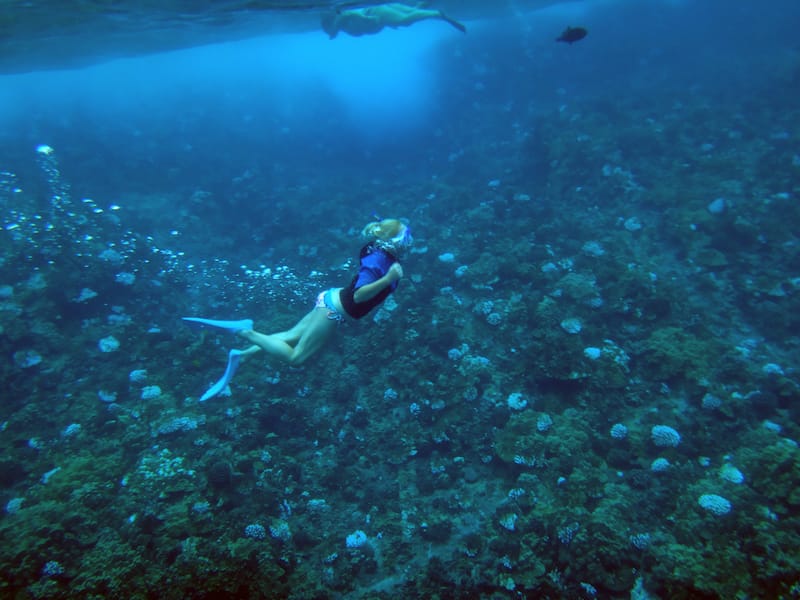 Snorkeling at Molokini Crater