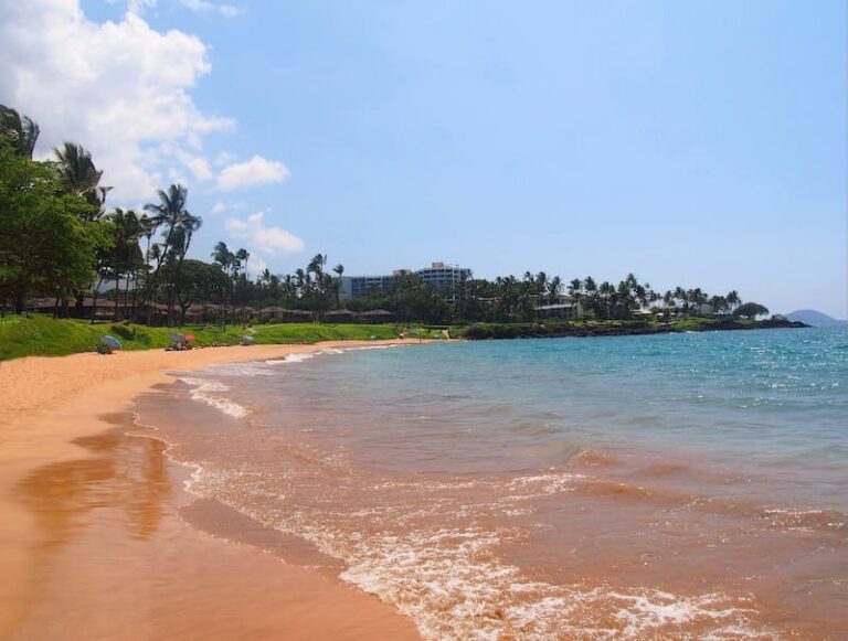 8 Kihei Snorkeling Tours Worth Your Money Best Spots