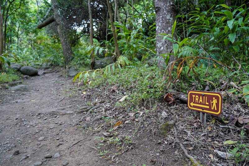 Trails inside of Iao Valley State Monument