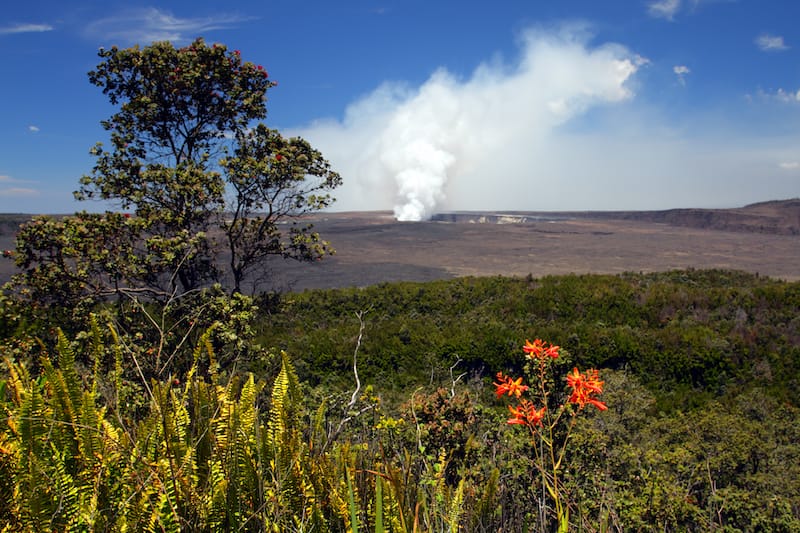 Day trip to Volcanoes National Park