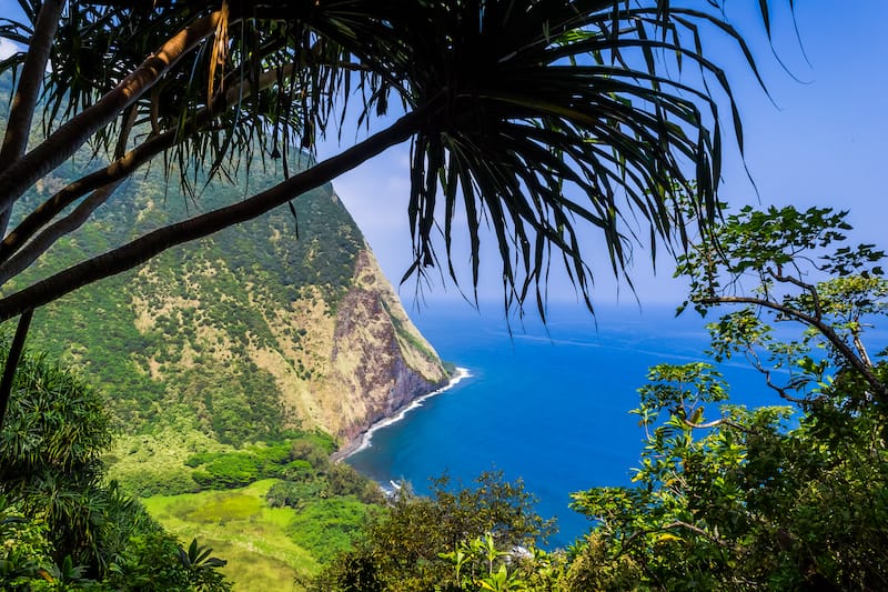 Hamakua Coast