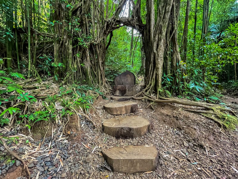 Hiking the Manoa Falls Trail-1-2