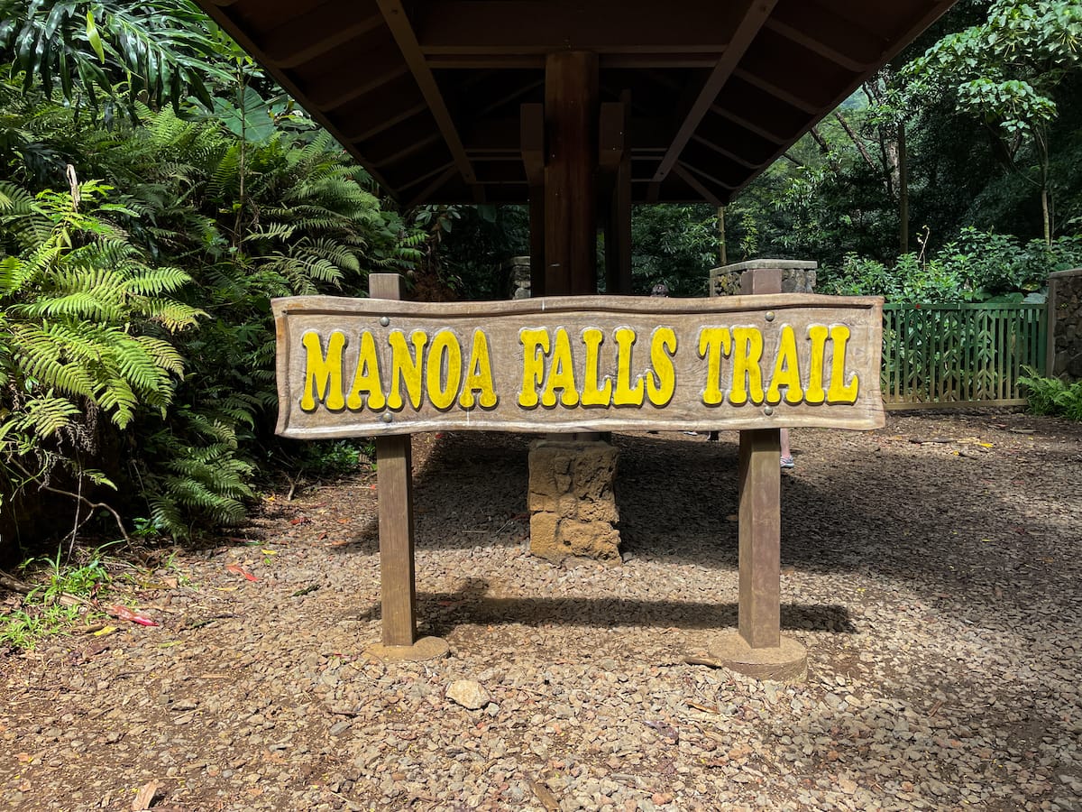 Hiking the Manoa Falls Trail-12