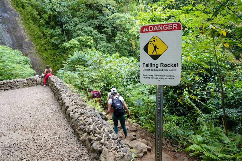 Hiking the Manoa Falls Trail-2-2