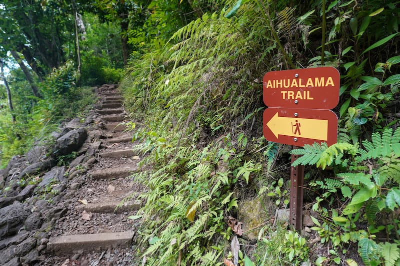 Hiking the Manoa Falls Trail-3-2