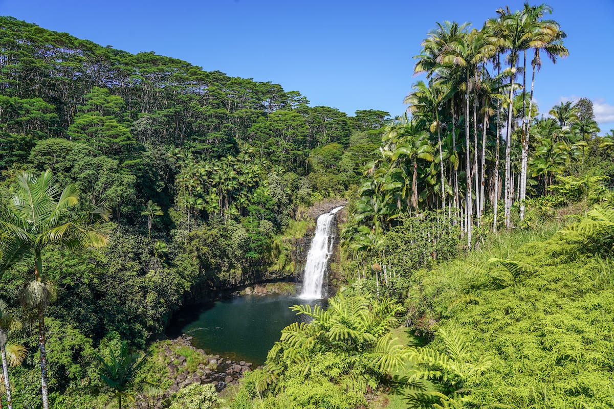 Kulaniapia Falls is one of the top Hilo day trips!