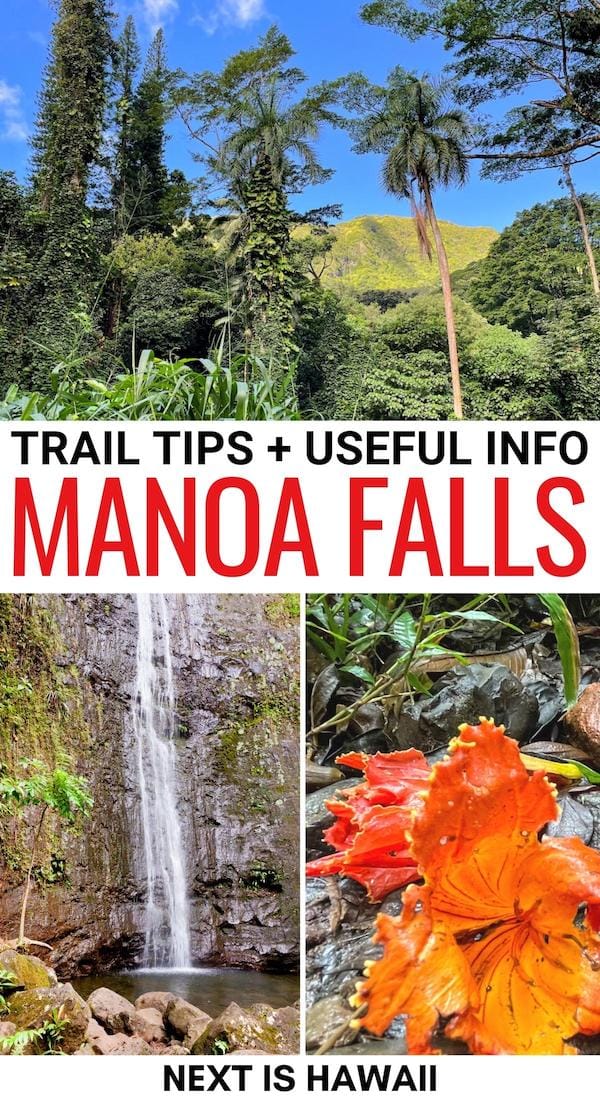 Are you looking to hike the Manoa Falls Trail when visiting Honolulu? This popular waterfall hike is easy but you should prepare! You can learn more here! | Manoa Falls hike | Waterfall Hike Manoa Falls | Manoa Valley hikes | Things to do in Honolulu | Hiking near Honolulu | Honolulu hikes | Trail to Manoa Falls | Oahu trails | Honolulu trails | Oahu hiking trails | Hikes on Oahu