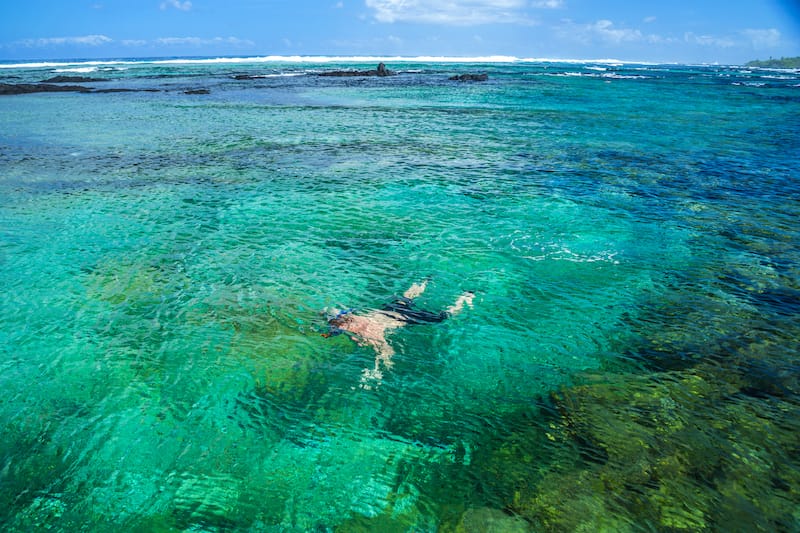 Snorkeling in Kona