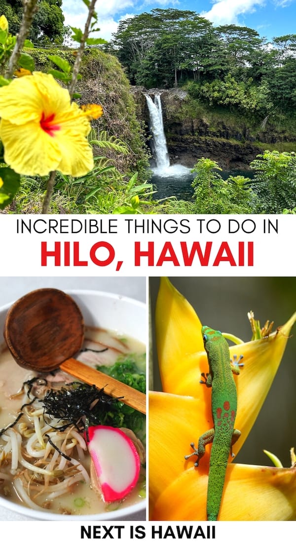 Visiting the Big Island for the first time? These are the best things to do in Hilo, the gateway to Volcanoes National Park! It includes Hilo day trips and more. | Hilo things to do | Hilo landmarks | Hilo attractions | What to do in Hilo | Day trips from Hilo | Hilo tours | Hilo hiking | Hilo waterfalls | Hilo trails | Places to visit in Hilo HI | Places to see in Hilo | Hilo itinerary | Big Island places to visit | Visit Hilo | Travel to Hilo | Hilo museums