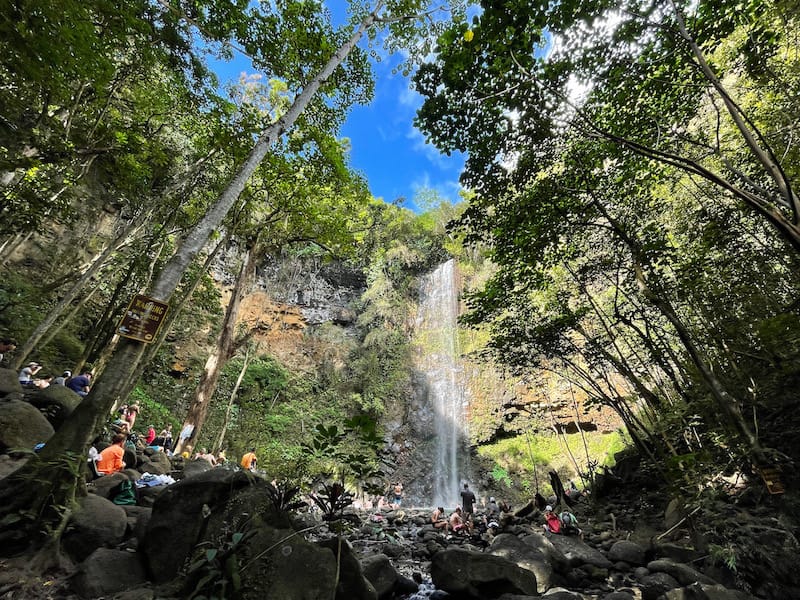 Wailua River Kayak Tour 12