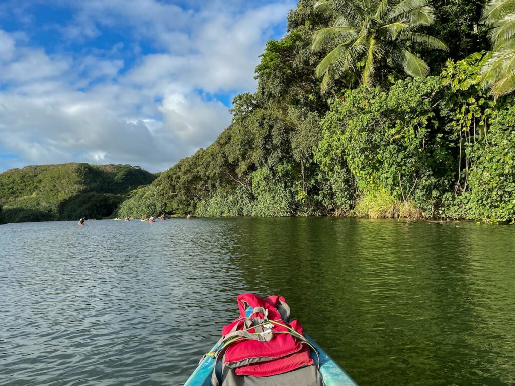 Wailua River Kayak Tour