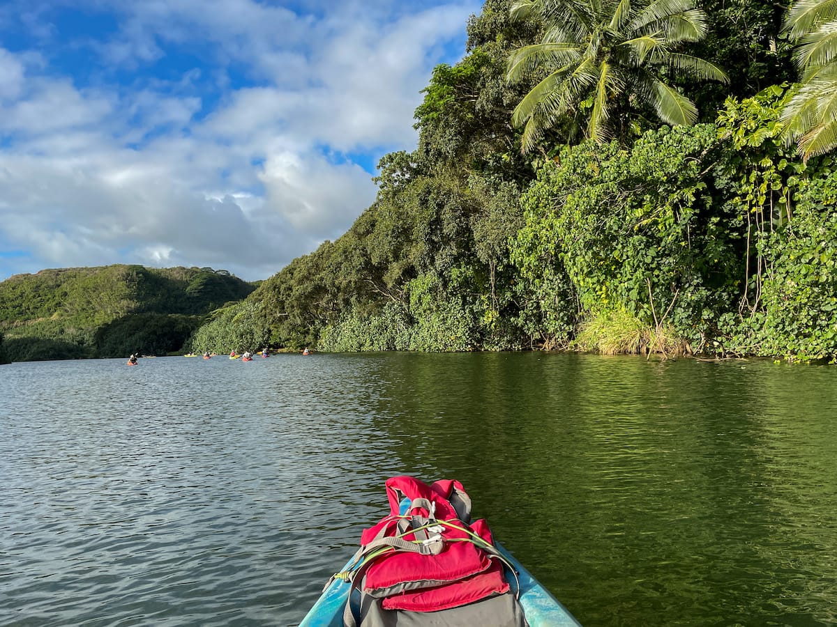 Wailua river and secret falls kayak and hiking clearance tour