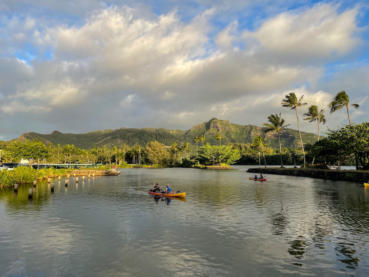 Wailua River Kayak Tour 19