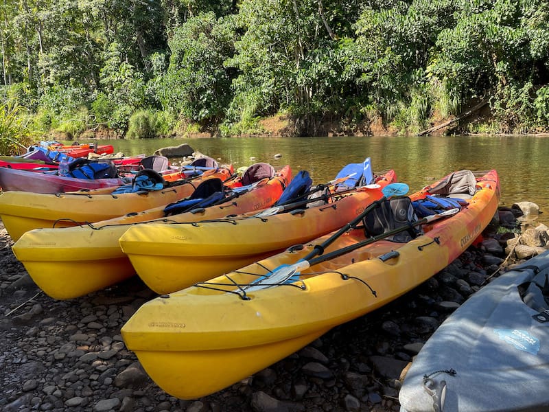 Wailua River Kayak Tour 2