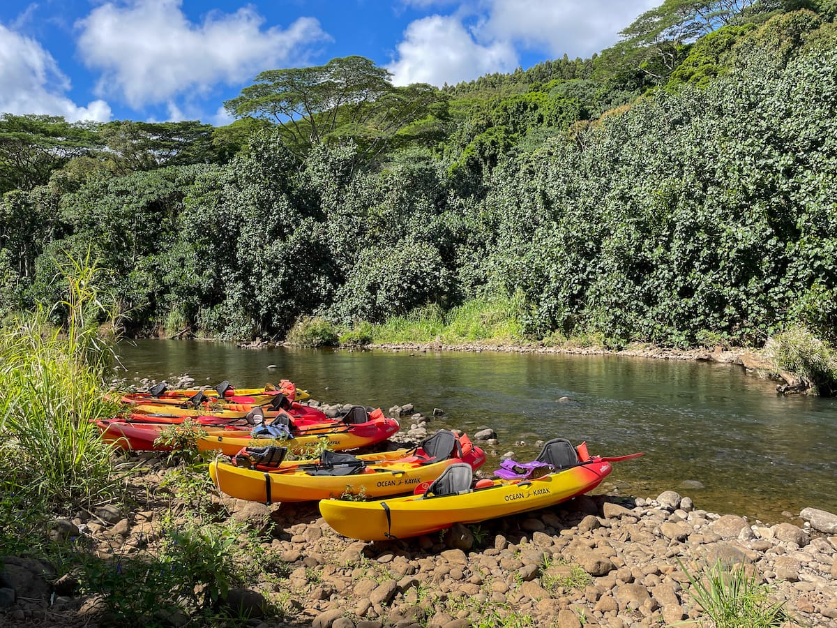 Wailua River Kayak Tour 3