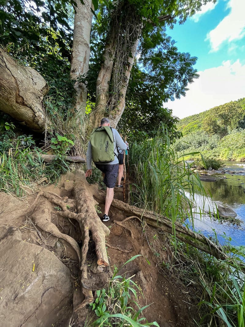 Wailua River Kayak Tour 4