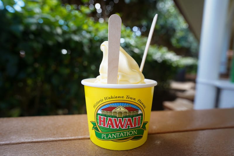 Dole Whip from the Dole Pineapple Plantation