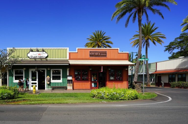 20 Best Things To Do in Haleiwa (+ Top North Shore Attractions)