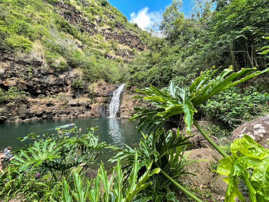 20 Best Things To Do in Haleiwa (+ Top North Shore Attractions)