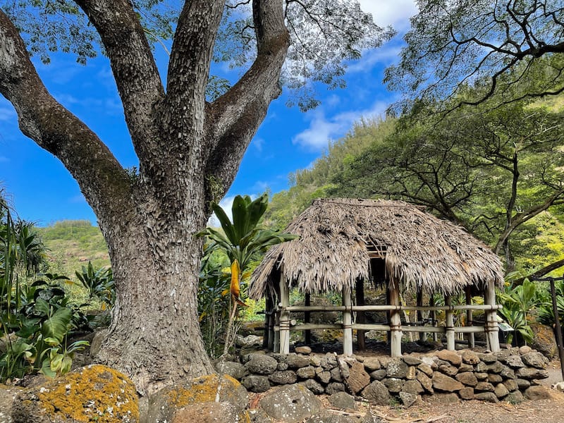 Cultural places to visit in Waimea Valley