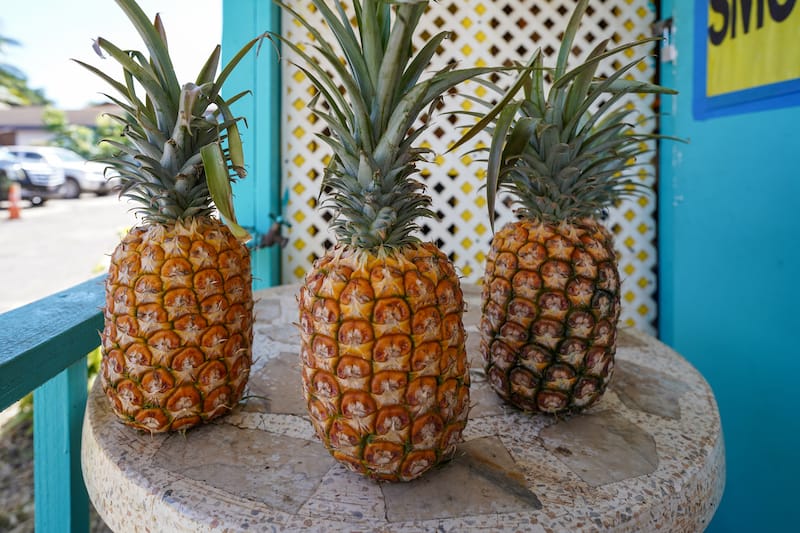 Hawaiian pineapple