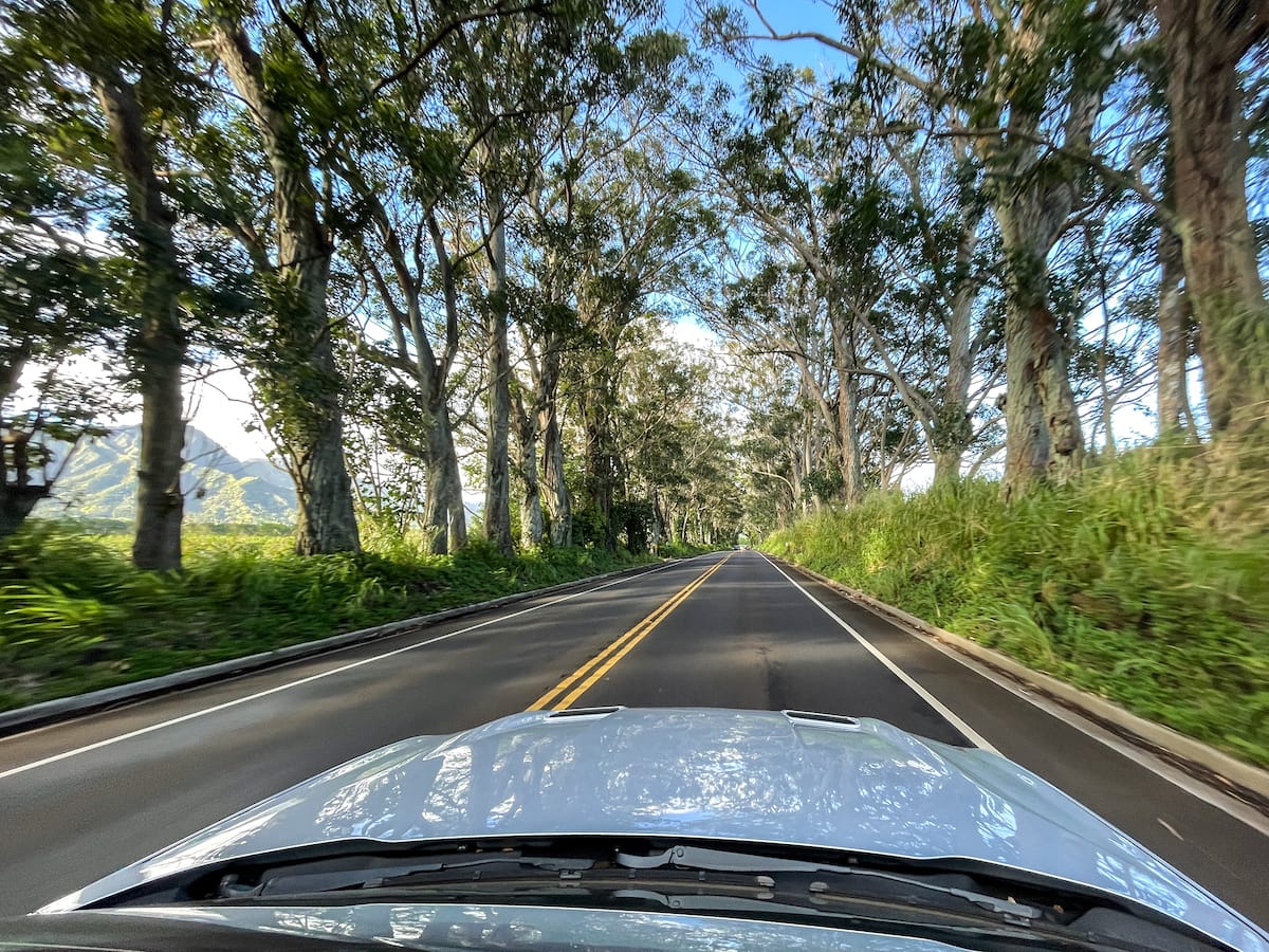 Driving through the Tree Tunnel on Kauai
