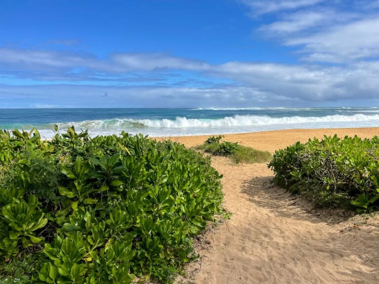 Perfect Kauai Itinerary: How to Spend 4 Days in Kauai (2024)