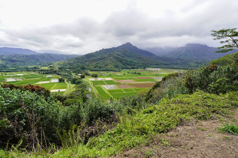 Hanalei Valley Lookout in North Shore Kauai