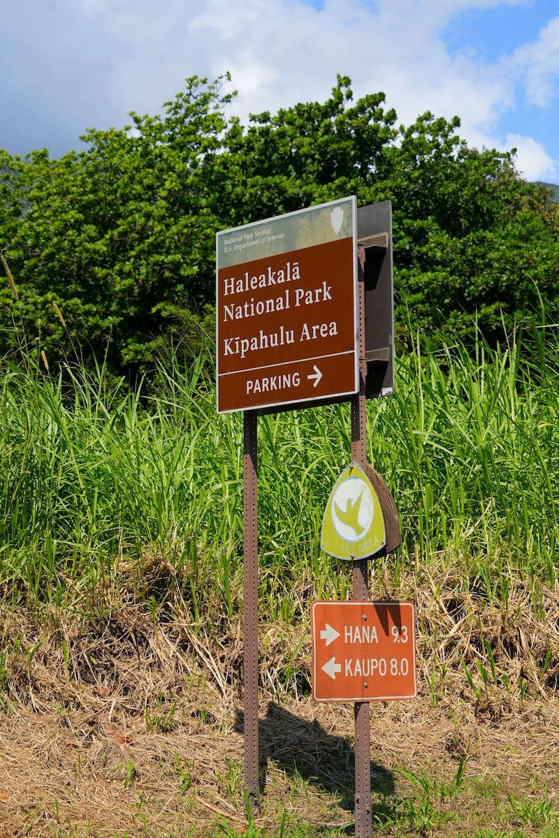 Along the Road to Hana